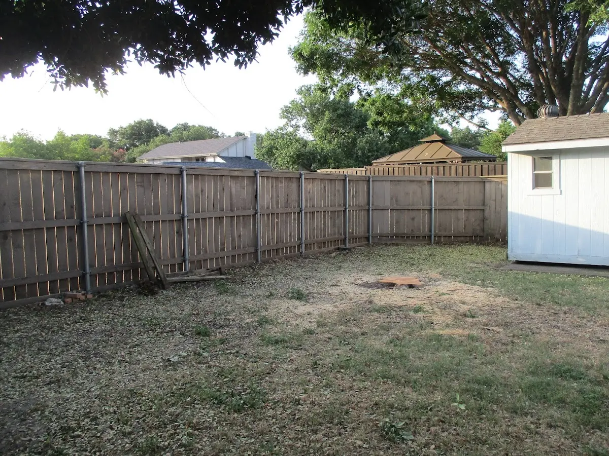 Cleared yard after professional tree removal in Spruce Pine